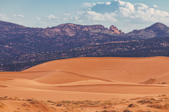 Coral Pink Sand Dunes State Park