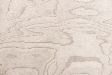 Fototapeta na wymiar Plywood sheet close-up. The texture of the tree.