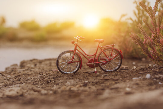 Red bicycle parking outdoor in nature summer holiday sunset background  copy spec
