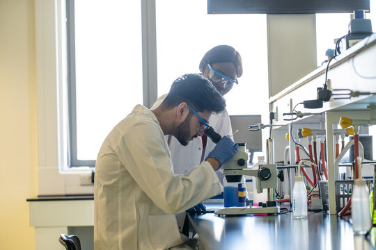 Young female and male scientists looking through microscope in laboratory