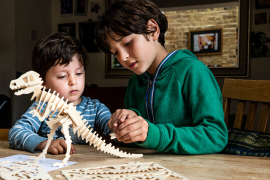 Boy showing brother way to build wooden dinosaur