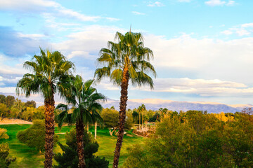 Obraz premium Palm Trees Mountains and Majestic Sky