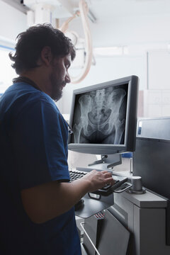 Young male radiographer using computer keyboard to view pelvis  X-ray in radiology department