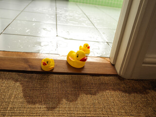 Water leaking from bathroom appliance causing damage and washing rubber ducks out of door