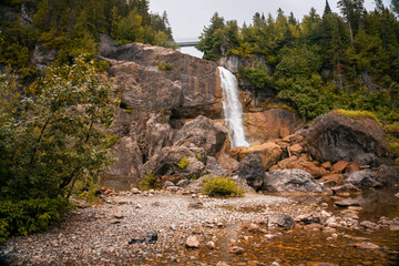 waterfall in the forest