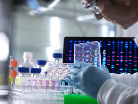 Scientist pipetting DNA samples into microcentrifuge tubes during an experiment in the laboratory with the DNA profile on the monitor screen.