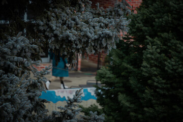 person in the forest