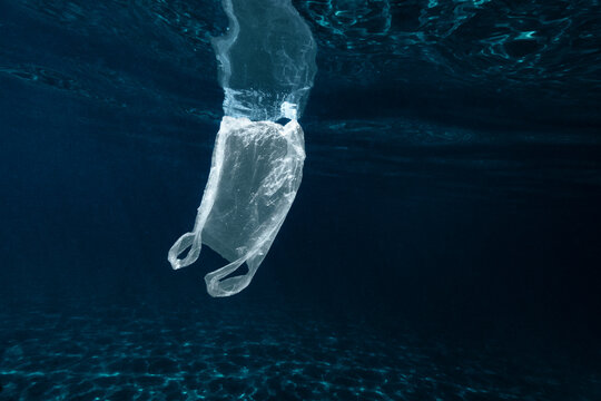 Plastic bag floating in sea
