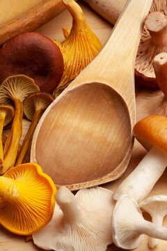Wild mushrooms and wooden ladle, Albatrellus ovinus, Cantharellus cibarius, Cantharellus tubaeformis, Lactarius rufus, and Russula decolorans
