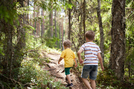 Brothers exploring forest, Finland