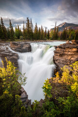 Athabasca Falls in Jasper National Park in the evening as the setting sun shines on the mountains, cliffs, and greens.