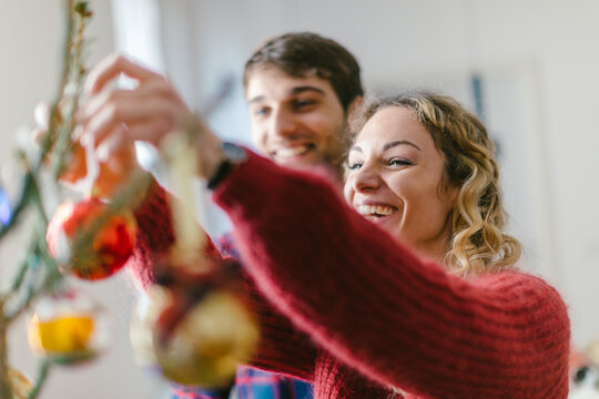Couple decorating Christmas tree at home