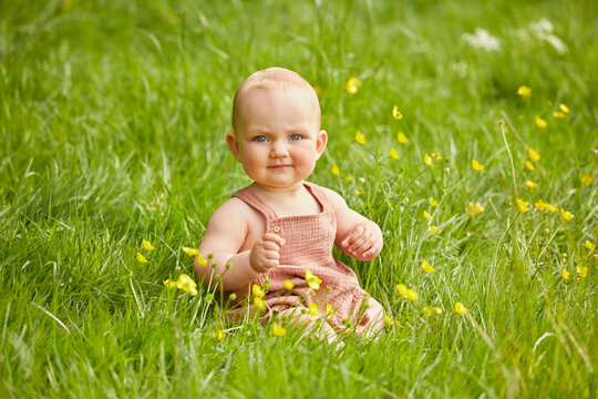 Portrait of baby girl sitting in a meadow.