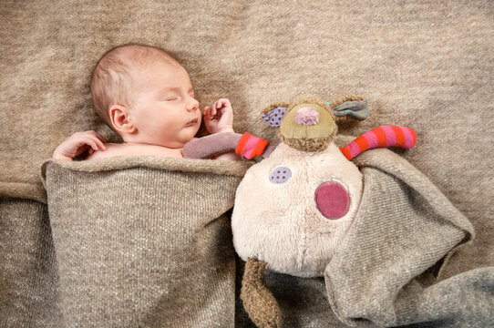 A four week old baby nestled in blankets asleep. 