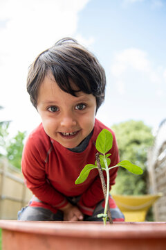 A young boy in a garden planting a sunflower seedling in a plant pot. 