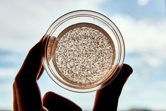 Close up of person holding dish with transparent bubbly gel against sky.