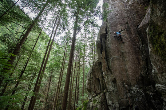 A trad climber in helmet with limited equipment, climbing up a sheer cliff face in pine trees. 