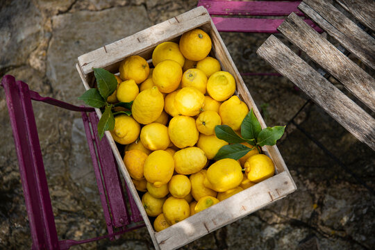 High angle close up wooden crate with freshly picked lemons.