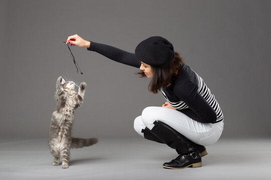 Studio shot of woman playing with grey cat, on grey background.