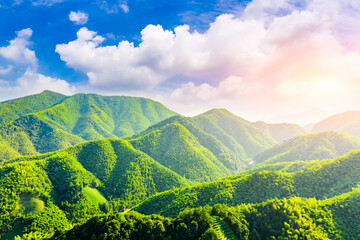 Fototapeta premium Aerial view of mountain valley and green forest in Hangzhou,China.