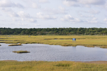 Wetlands in the Waquoit Bay Estuarine Reserve. Taken at South Cape Beach in Mashpee, MA