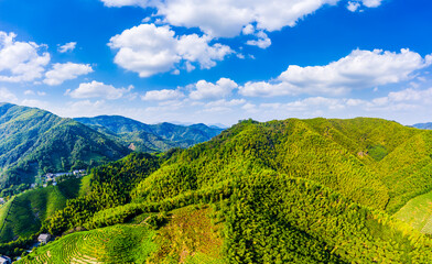 Aerial view of mountain valley and green forest in Hangzhou,China.