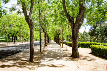 Madrid