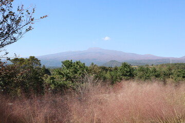 Obraz premium Beautiful mountain in Jeju Island