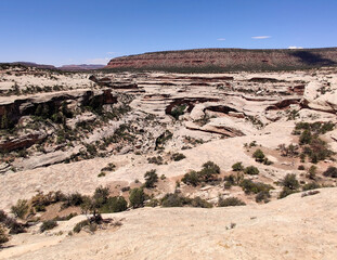 Stupefying Sapapu Bridge Overlook at National Bridge National Monument in Utah