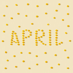 April text from Mimosa flower with round fluffy yellow blossom close up. Natural background with flowers. Minimal spring holiday concept