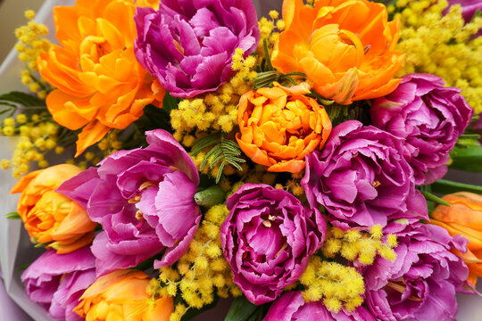 Mimoza Images – Browse 870 Stock Photos, Vectors, and Video