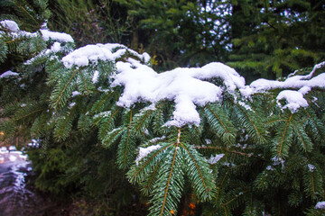 Bariloche
