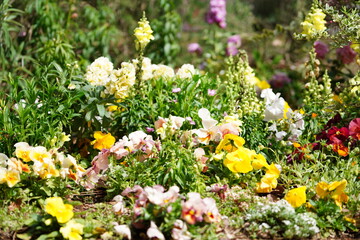 東京の公園の風景