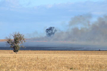 Burning off farm land to introduce nitrogen into soil, for better crop yield