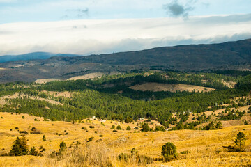 Verde Montaña