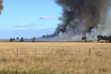 Burning off farm land to introduce nitrogen into soil, for better crop yield