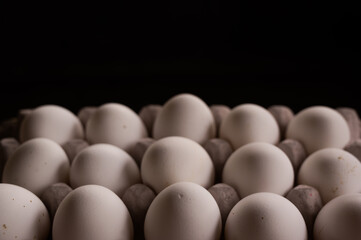 The Chickens eggs on the egg carton on the dark background in natural light
