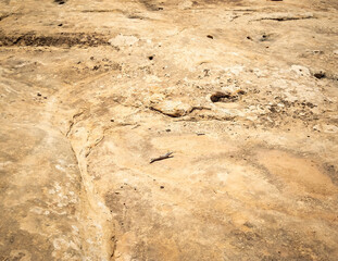 Spectacular Horse Collar Ruin at the Natural Bridge National Monument in Utah