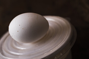 A chicken egg on a white lid on the dark background.
