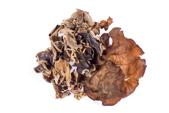 Jew's ear or Auricularia auricula judae isolated on white background. top view,flat lay