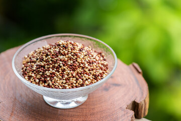 Chenopodium quinoa seeds on nature background.