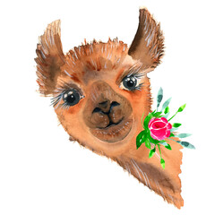 Cute hand drawn llama with a wreath of flowers. Bouquet of flowers. © Elena