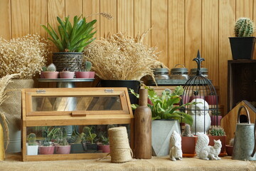 Shelf trees placed with decoration items placed on a wooden shelf on table.