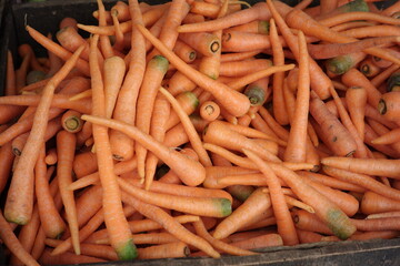 a collection of red carrots at a traditional market. fresh vegetables ready to be sold for consumption. foods full of nutrients and vitamin A for eye health