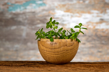 Indian pennywort or brahmi flower and green leaves on an old wood background.