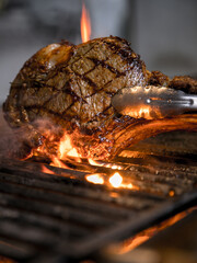 grilled meat on the grill with fire