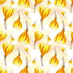 Hand drawn watercolor seamless floral pattern with yellow orange ochre crocus saffron flowers 3013