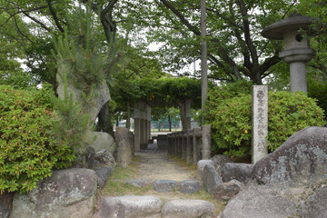 サツキの寺、雲迎寺の情景
