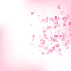 Rose Petals Flying Confetti. Elegant Premium Watercolor Texture.