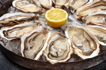 Oysters close-up. A dozen of raw oysters on a platter © laplateresca